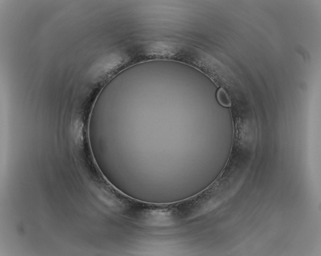 X0000113050692200909101939