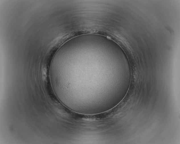 X0000113050693200909101939