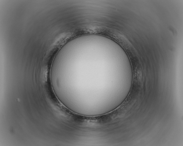 X0000113050694200909101939