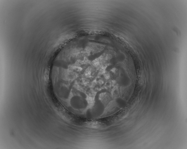 X0000113050695200909101939