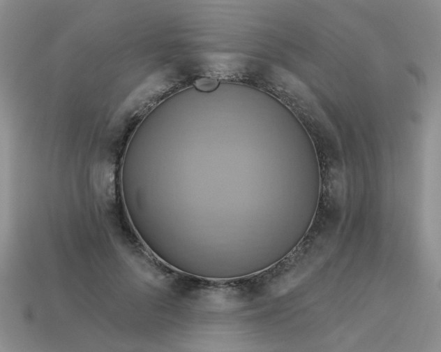 X0000113050696200909101939