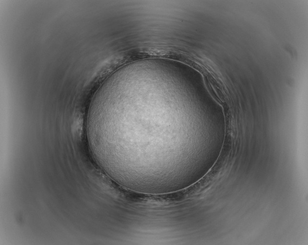 X0000113050697200909101939