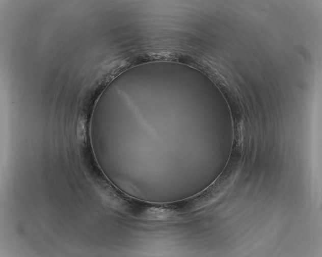 X0000113050699200909101939