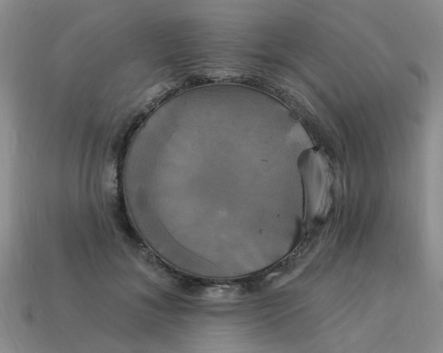 X0000113050700200909101939