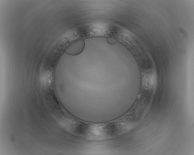 X0000113050701200909101939