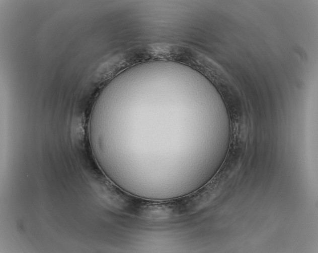 X0000113050702200909101939