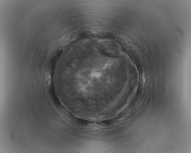 X0000113050703200909101939