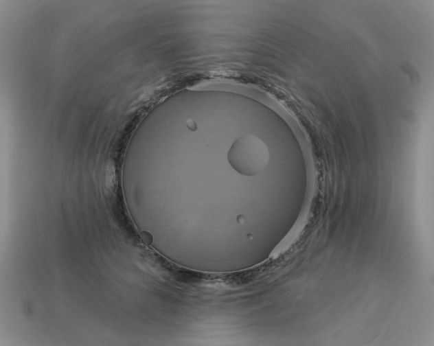 X0000113050704200909101939