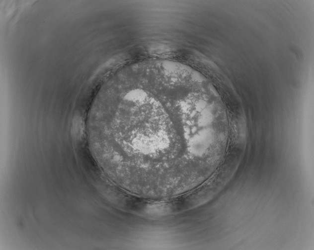 X0000113050705200909101939