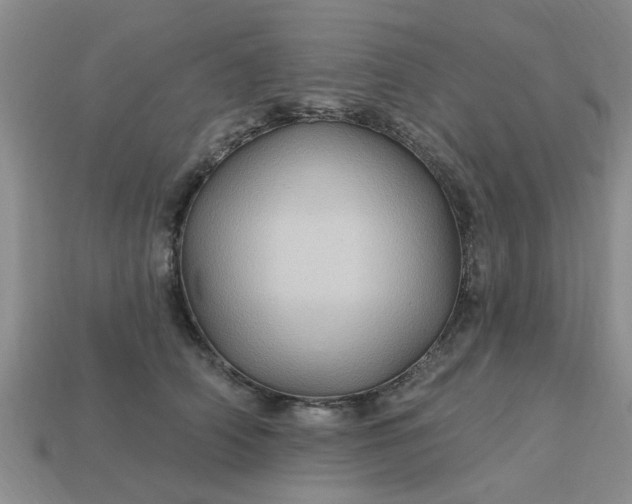 X0000113050706200909101939