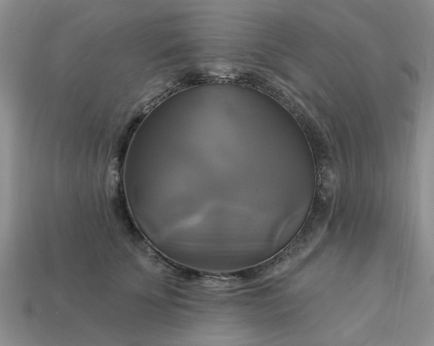 X0000113050707200909101939