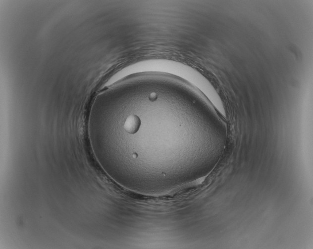 X0000113050708200909101939