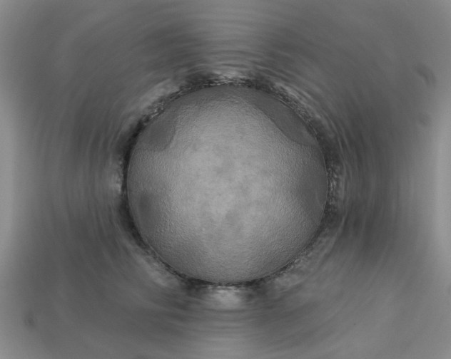 X0000113050710200909101939