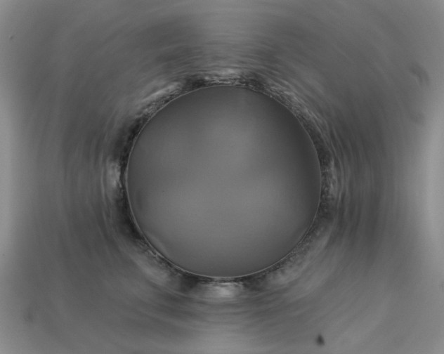 X0000113050711200909101939