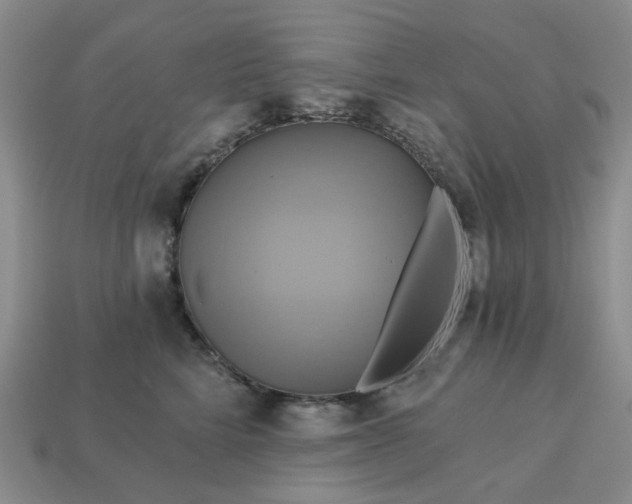 X0000113050712200909101939