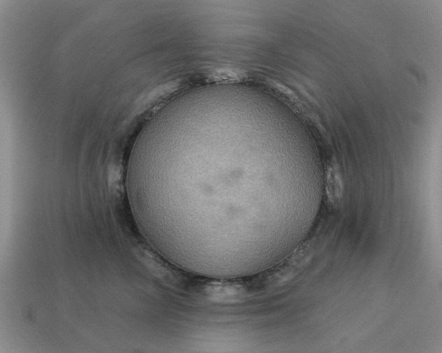 X0000113050714200909101939