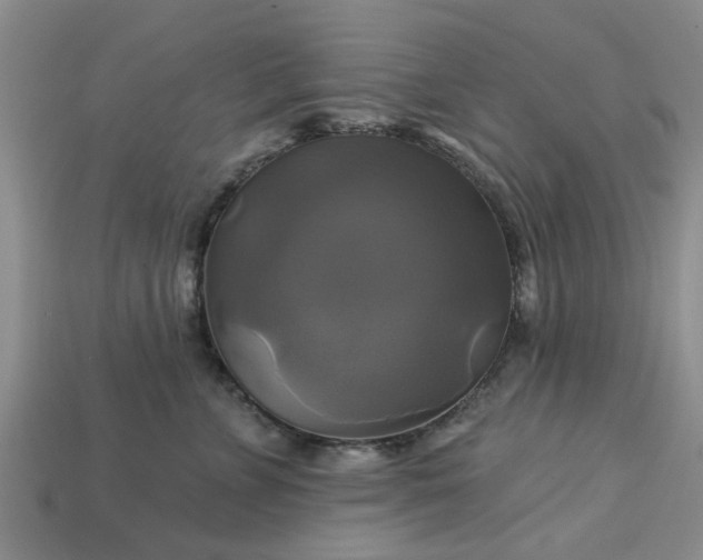 X0000113050715200909101939