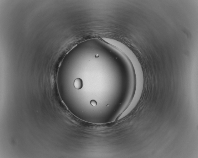 X0000113050716200909101939