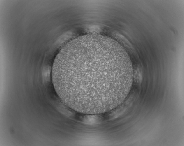 X0000113050717200909101939