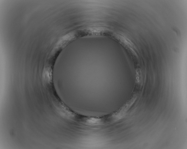 X0000113050718200909101939