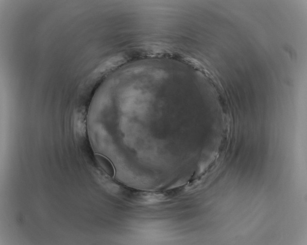 X0000113050719200909101939