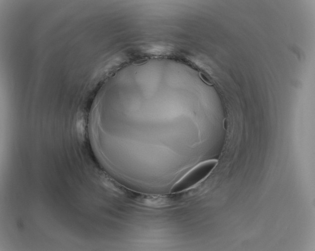 X0000113050720200909101939