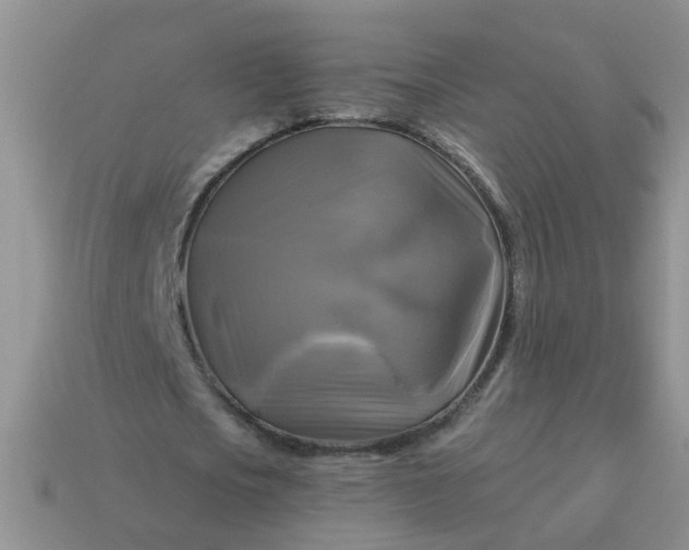 X0000113050721200909101938