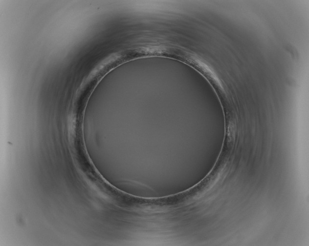 X0000113050722200909101938