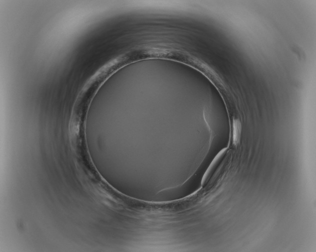 X0000113050723200909101938