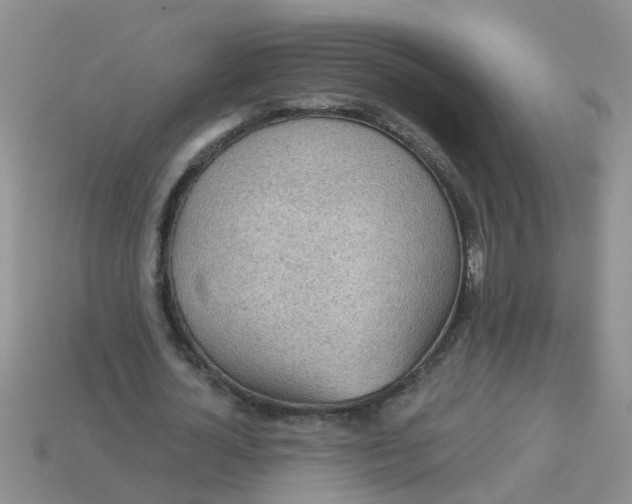 X0000113050724200909101938