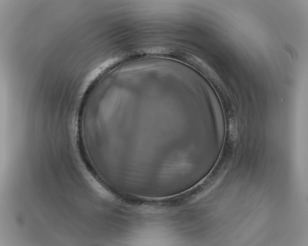 X0000113050725200909101938