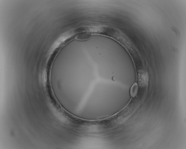 X0000113050726200909101938