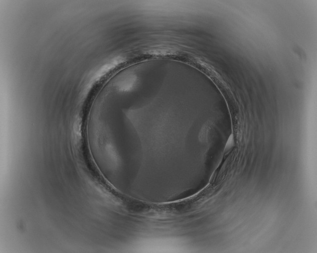 X0000113050727200909101938