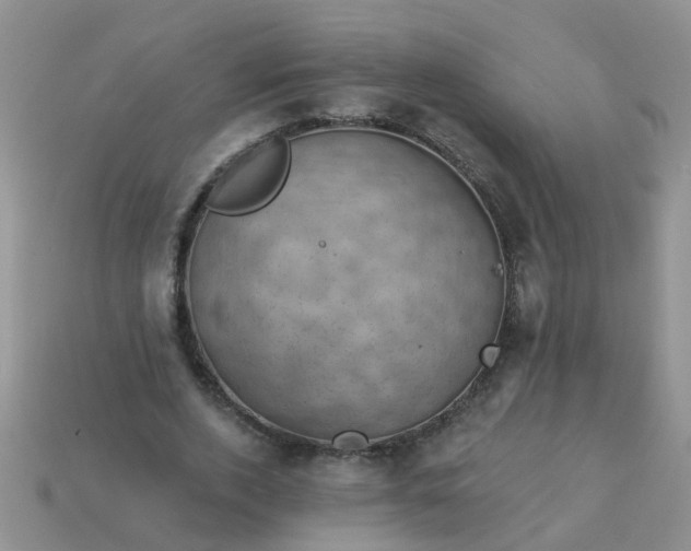 X0000113050728200909101938