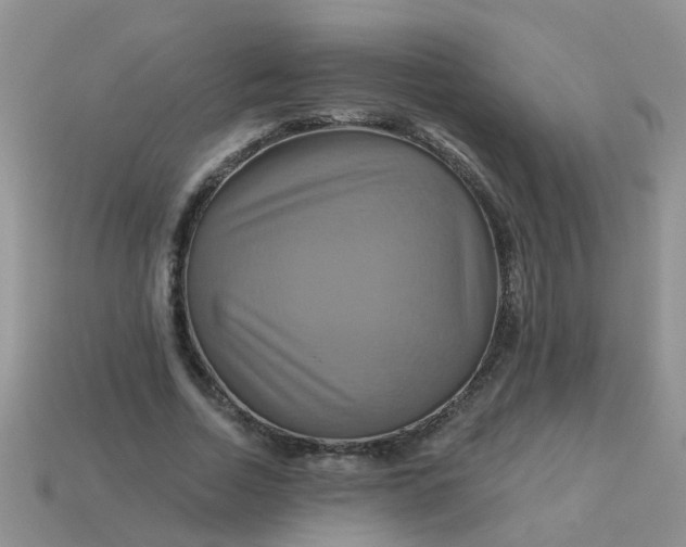 X0000113050730200909101938