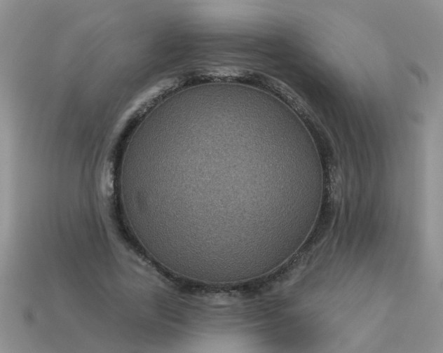 X0000113050731200909101938