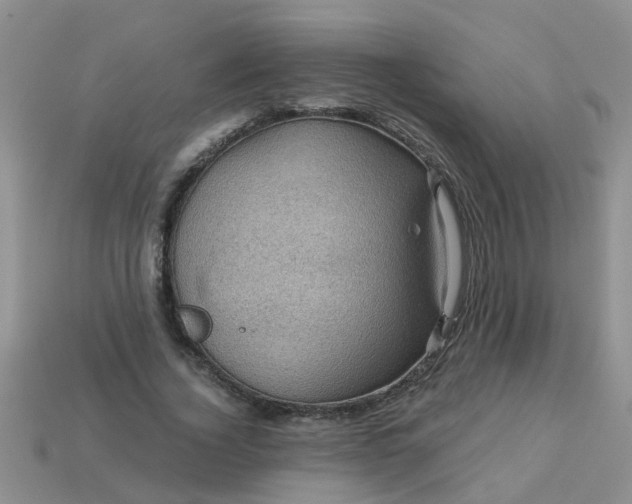 X0000113050732200909101938