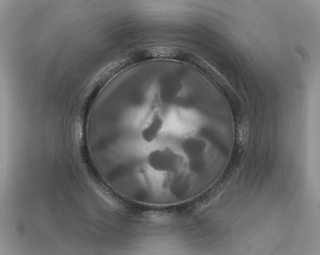 X0000113050733200909101938