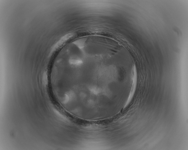 X0000113050734200909101938