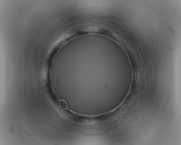 X0000113050735200909101938