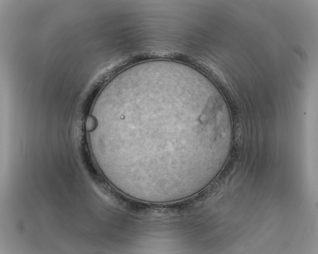 X0000113050736200909101938