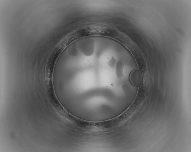 X0000113050737200909101938