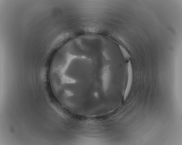 X0000113050738200909101938