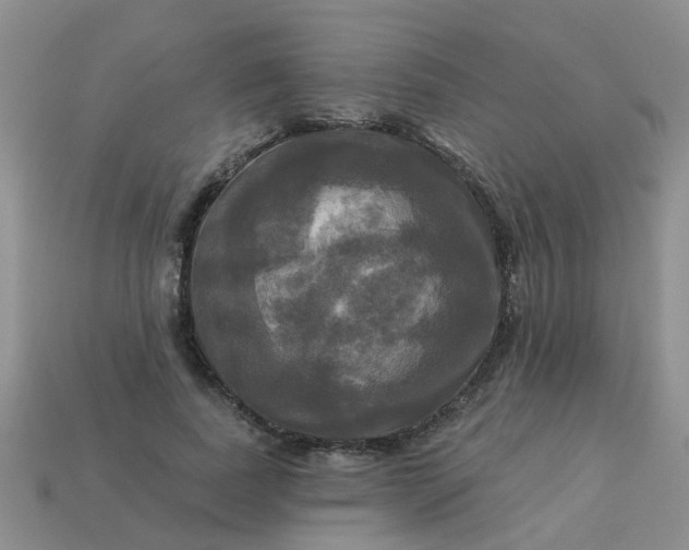 X0000113050739200909101938