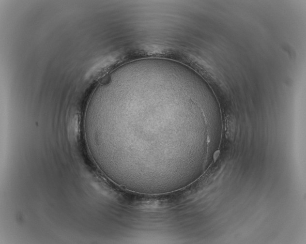 X0000113050740200909101938