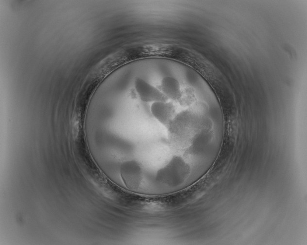 X0000113050741200909101938