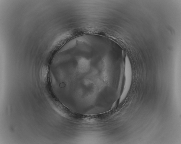 X0000113050742200909101938