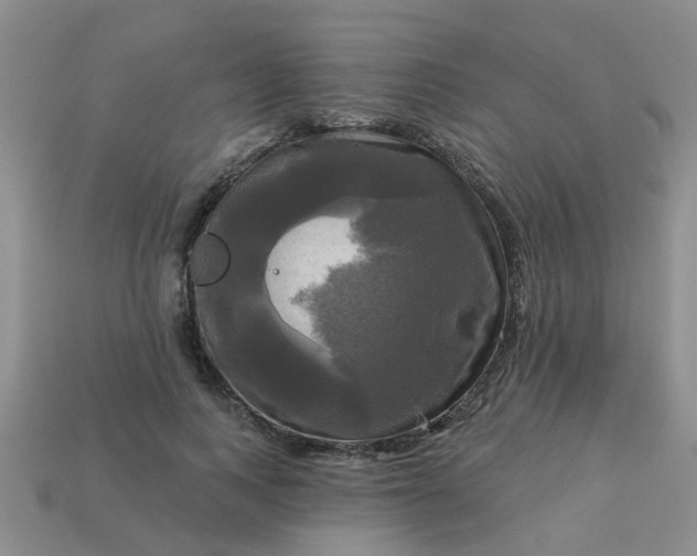 X0000113050743200909101938