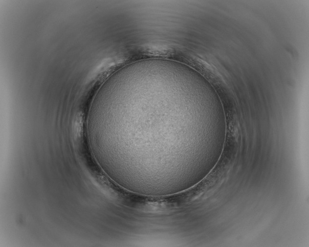 X0000113050744200909101938