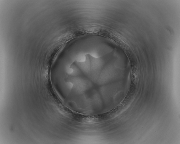 X0000113050745200909101938